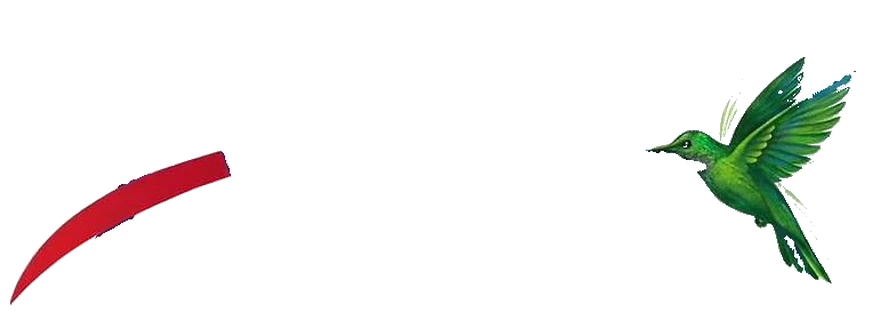 ACEF Ingénierie